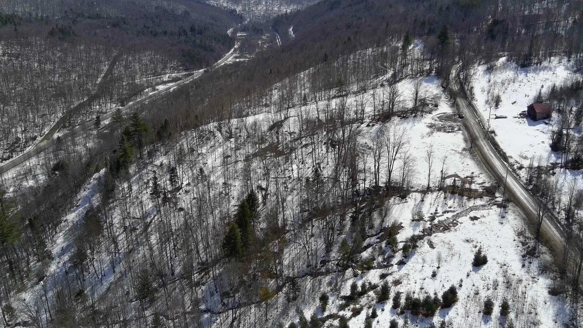 Lot 1 Thurston Hill Road Roxbury VT 05669