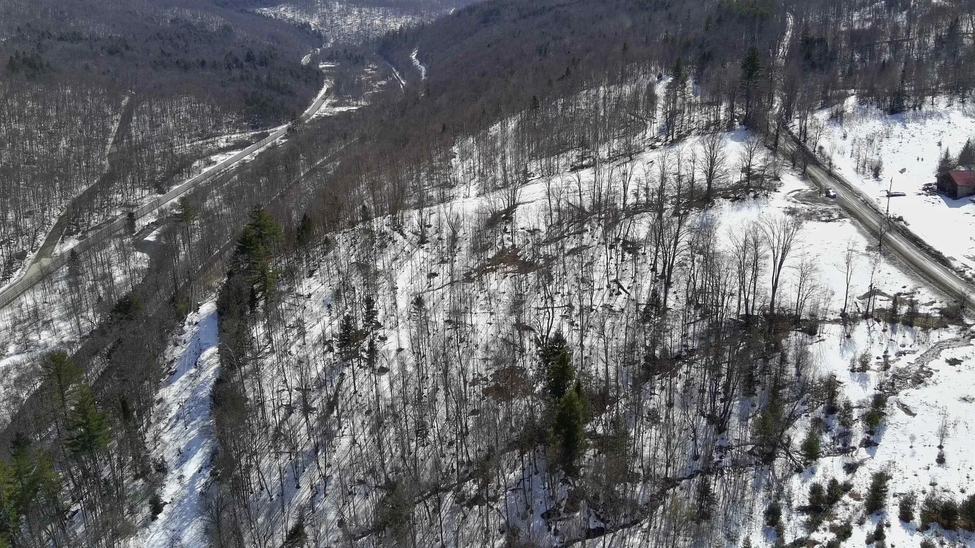 Lot 1 Thurston Hill Road Roxbury VT 05669