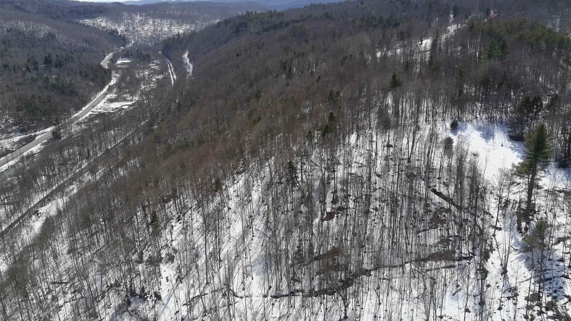 Lot 1 Thurston Hill Road Roxbury VT 05669