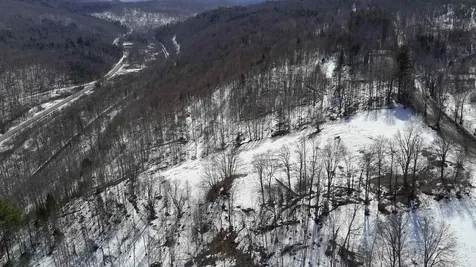 Lot 1 Thurston Hill Road Roxbury VT 05669