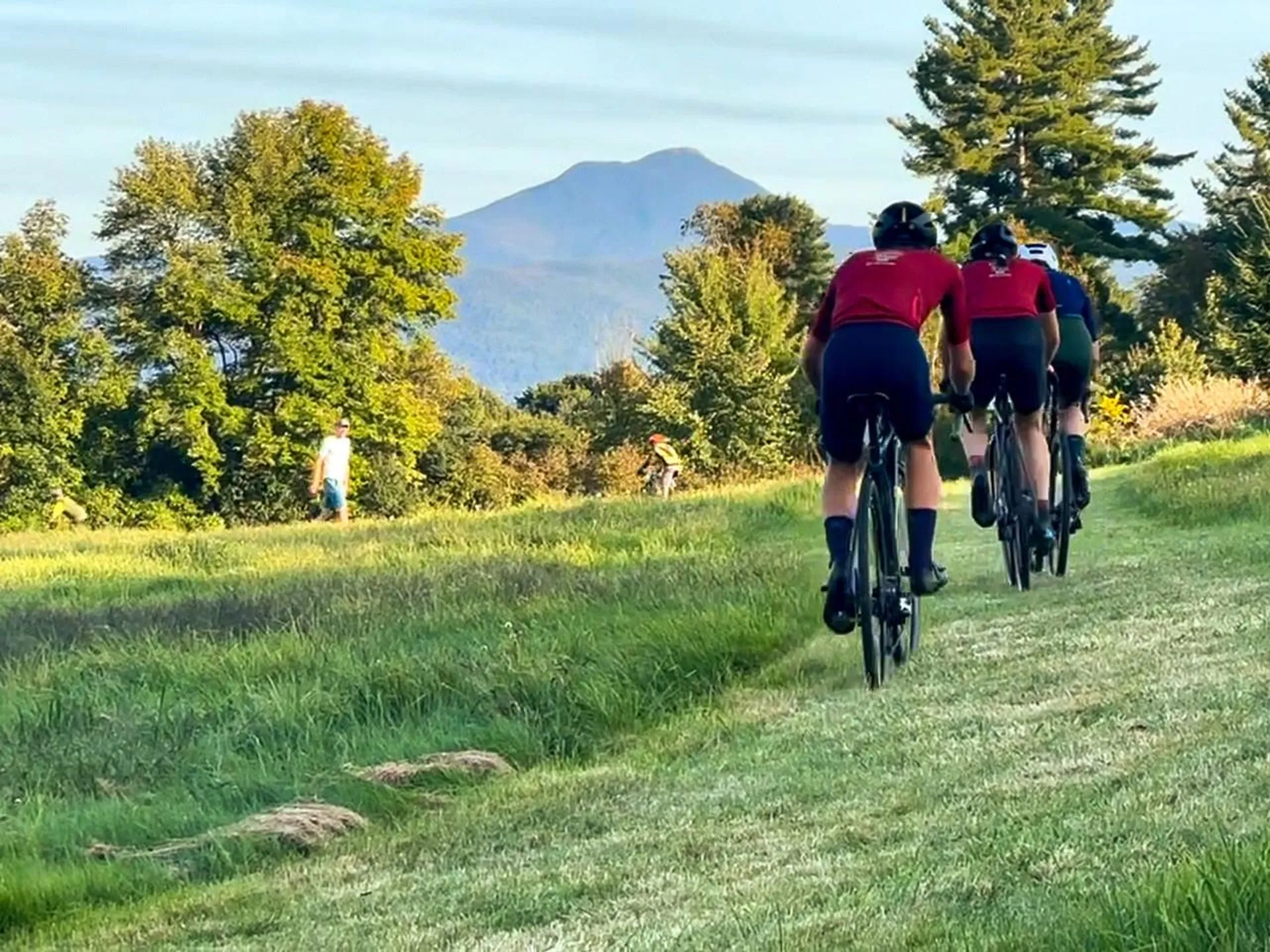 37 Lois Lane Williston VT 05495