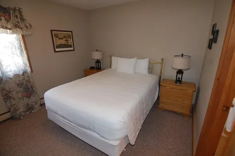 18 Ober Tal Drive Stratton VT 05155