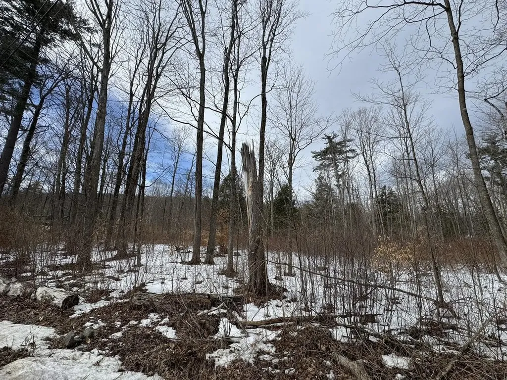 17 Chamberlain Drive Salisbury VT 05769