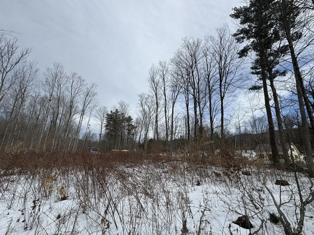 17 Chamberlain Drive Salisbury VT 05769