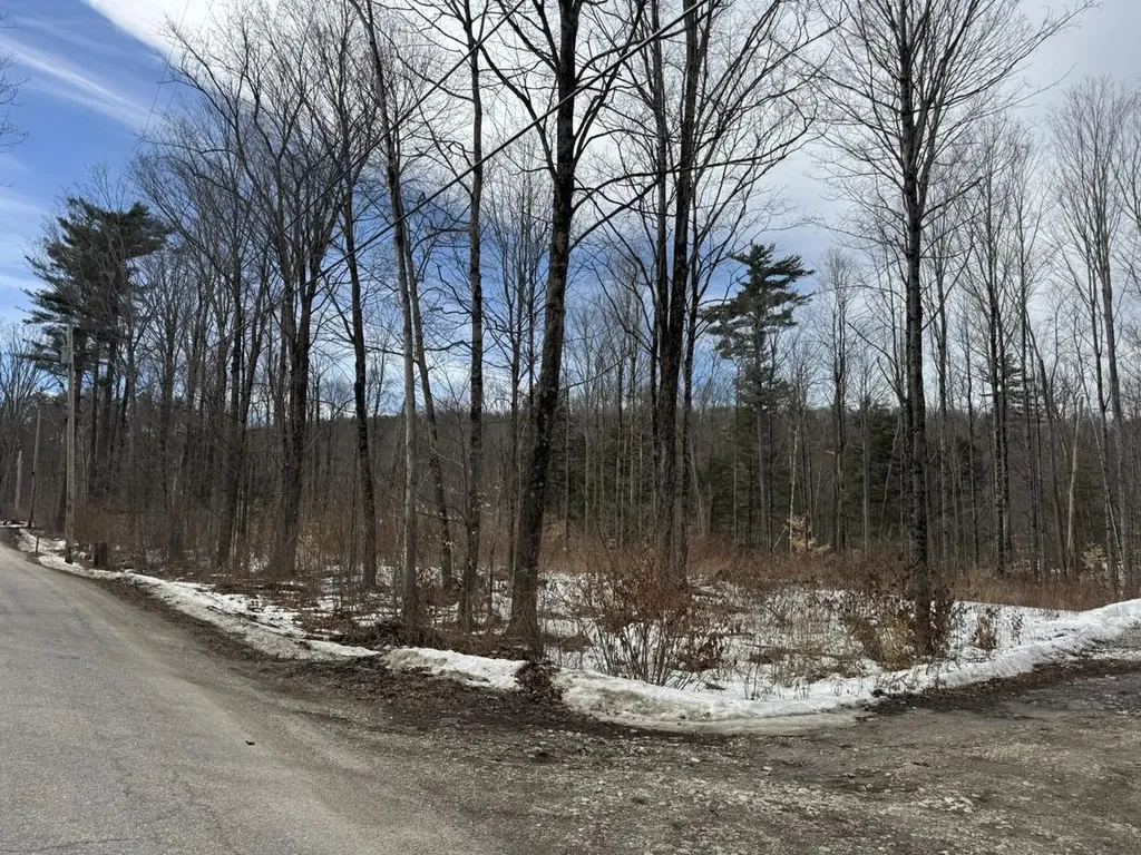 17 Chamberlain Drive Salisbury VT 05769