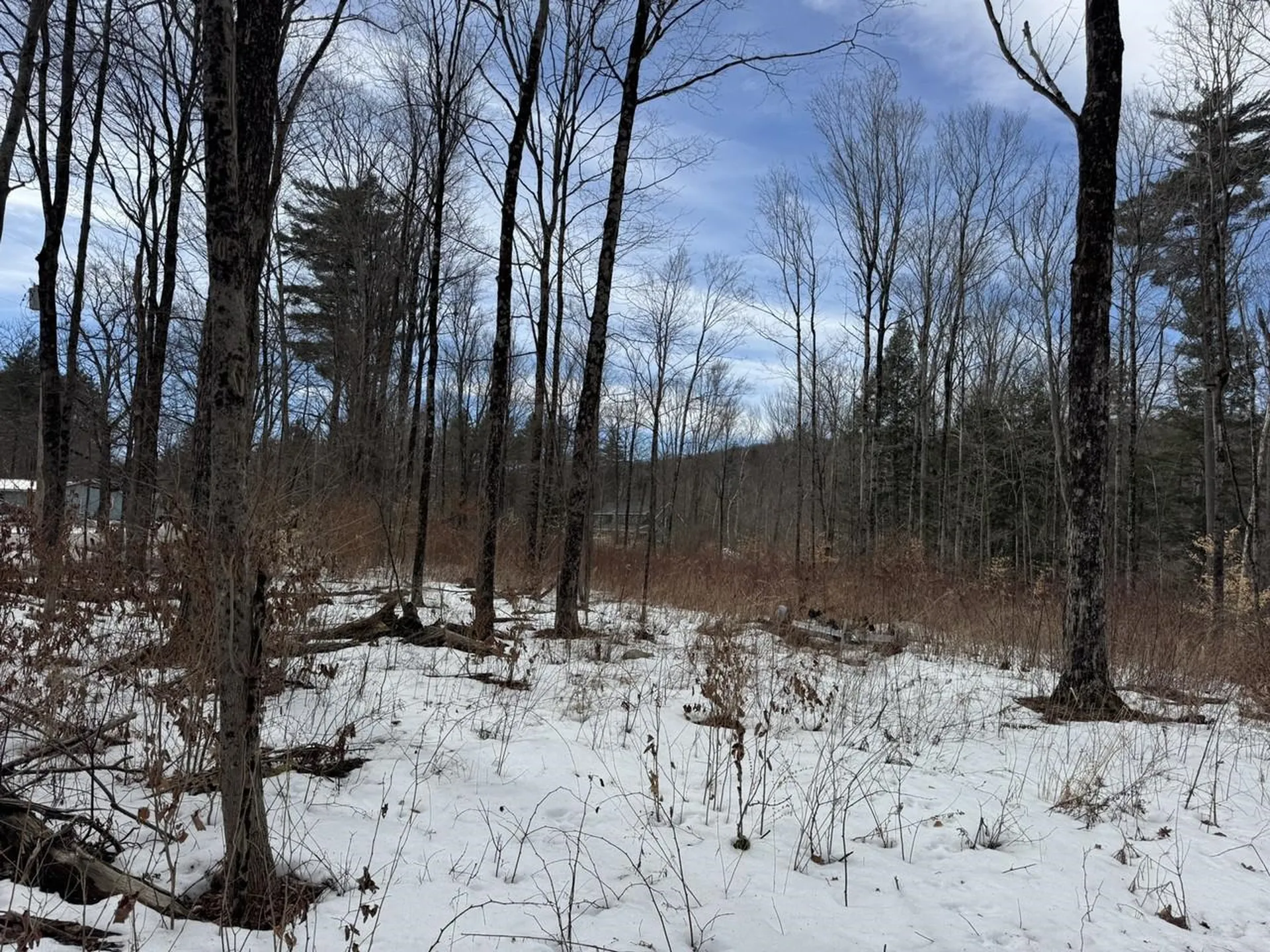17 Chamberlain Drive Salisbury VT 05769