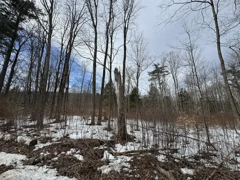 17 Chamberlain Drive Salisbury VT 05769