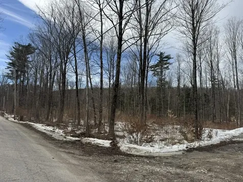 17 Chamberlain Drive Salisbury VT 05769