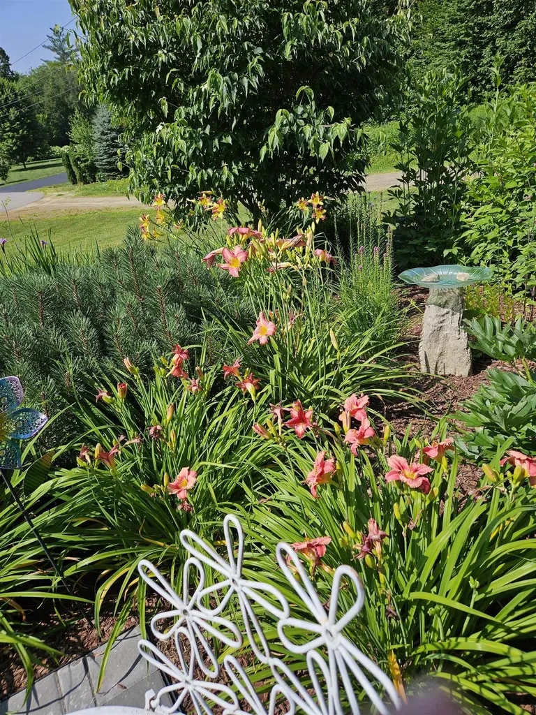 28 Cilley Brook Lane Hebron NH 03241