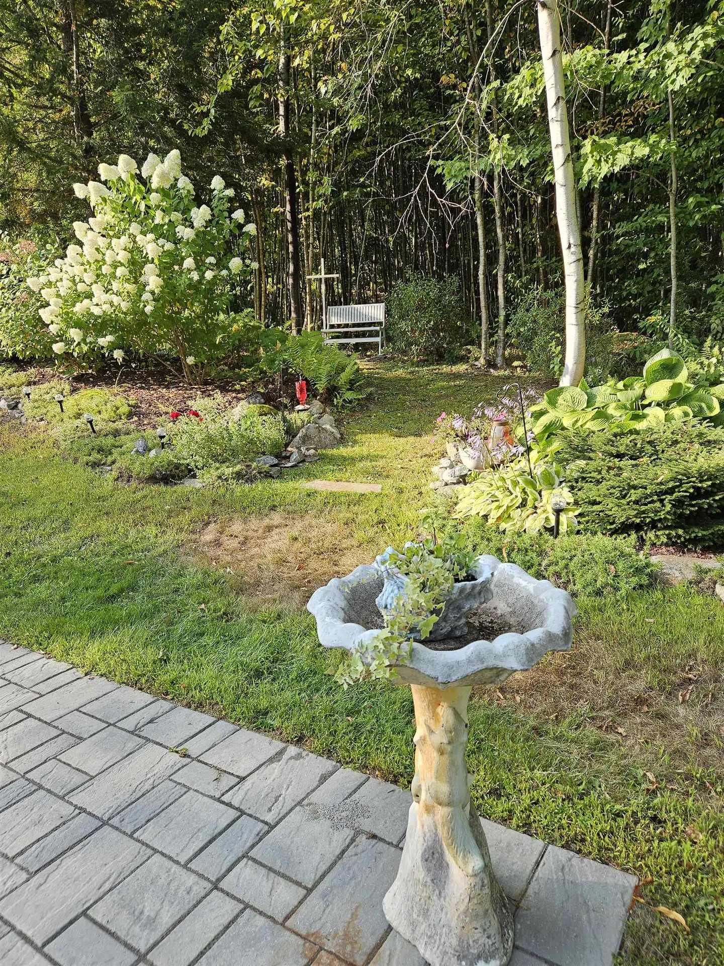 28 Cilley Brook Lane Hebron NH 03241