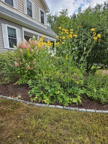 28 Cilley Brook Lane Hebron NH 03241