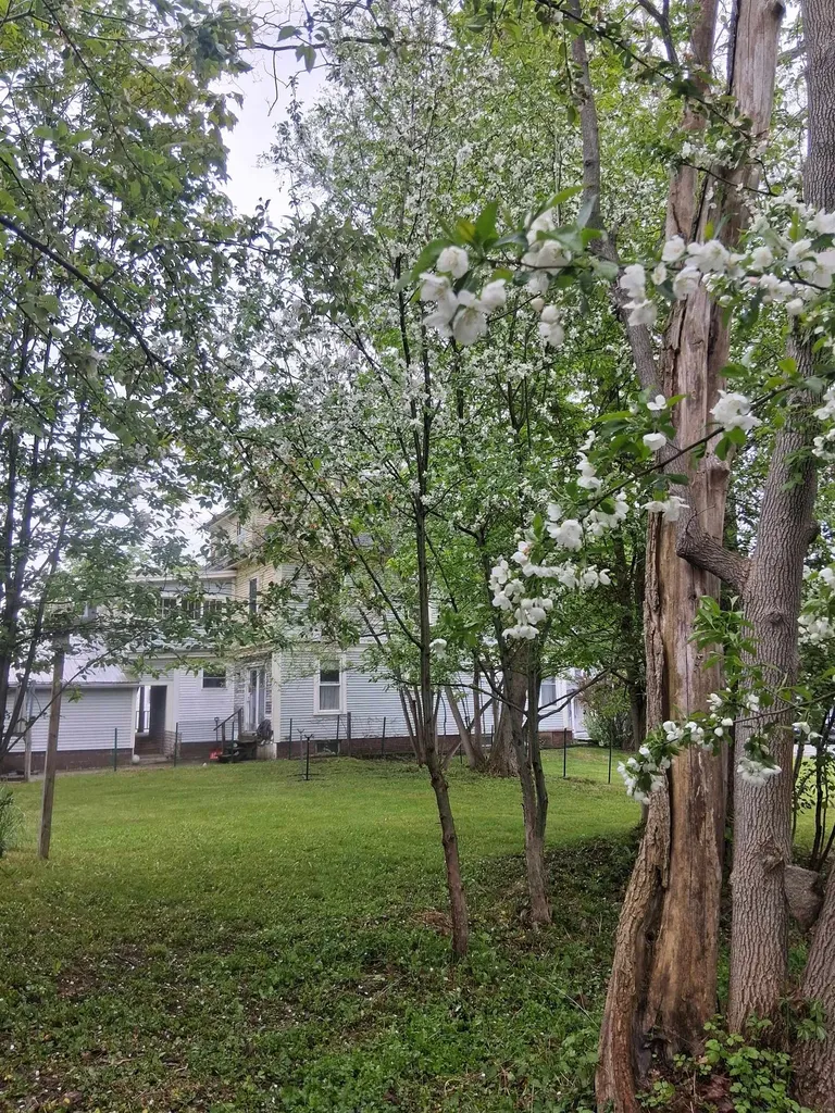 30 Cross Street Littleton NH 03561
