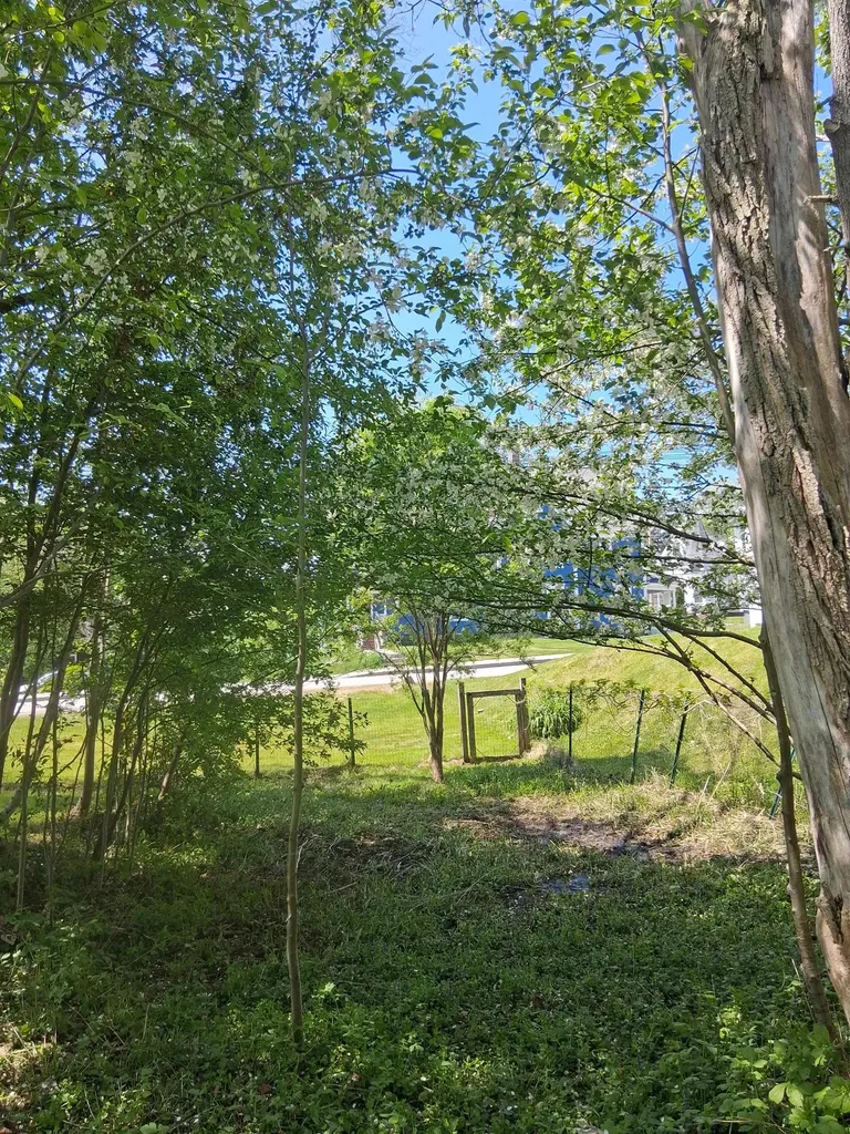30 Cross Street Littleton NH 03561