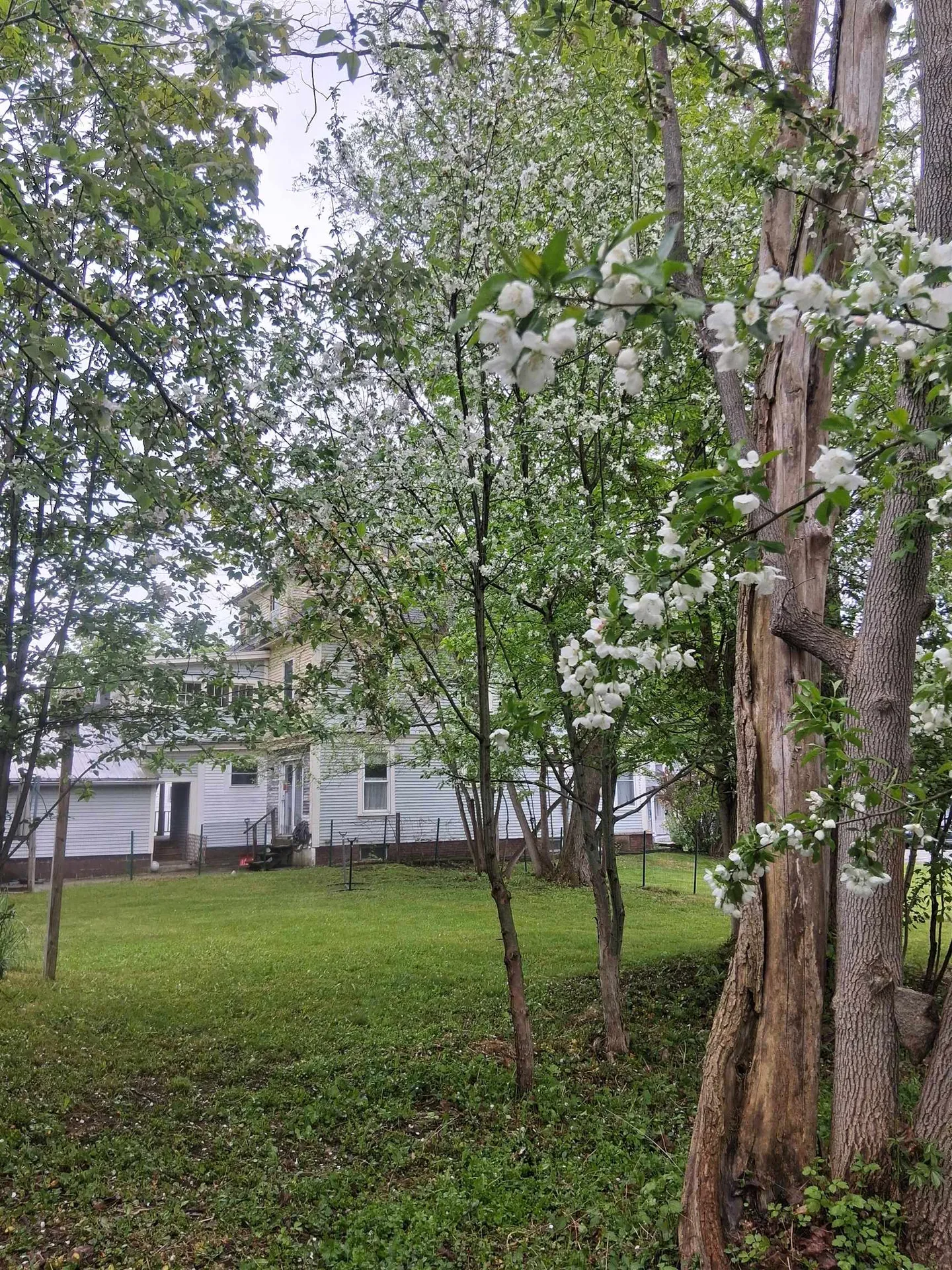 30 Cross Street Littleton NH 03561