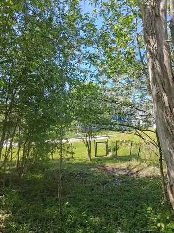 30 Cross Street Littleton NH 03561