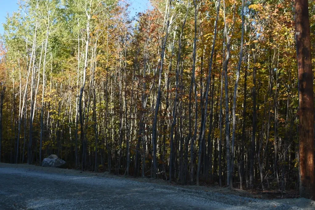 1 Cote Acres Road Randolph NH 03593