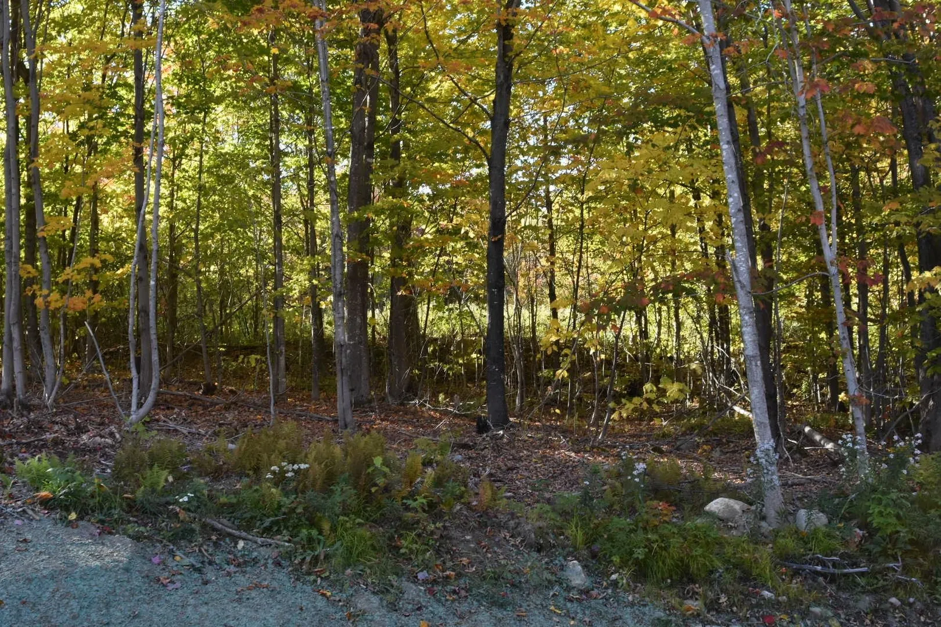 1 Cote Acres Road Randolph NH 03593