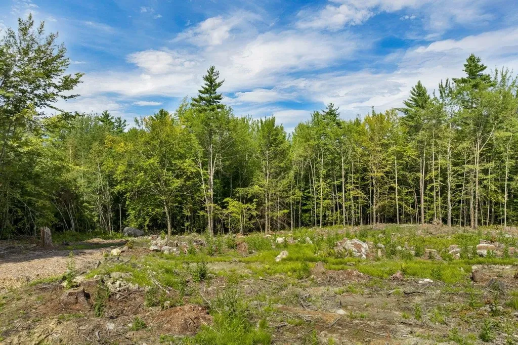 267-23 Winnipesaukee Drive Wolfeboro NH 03894