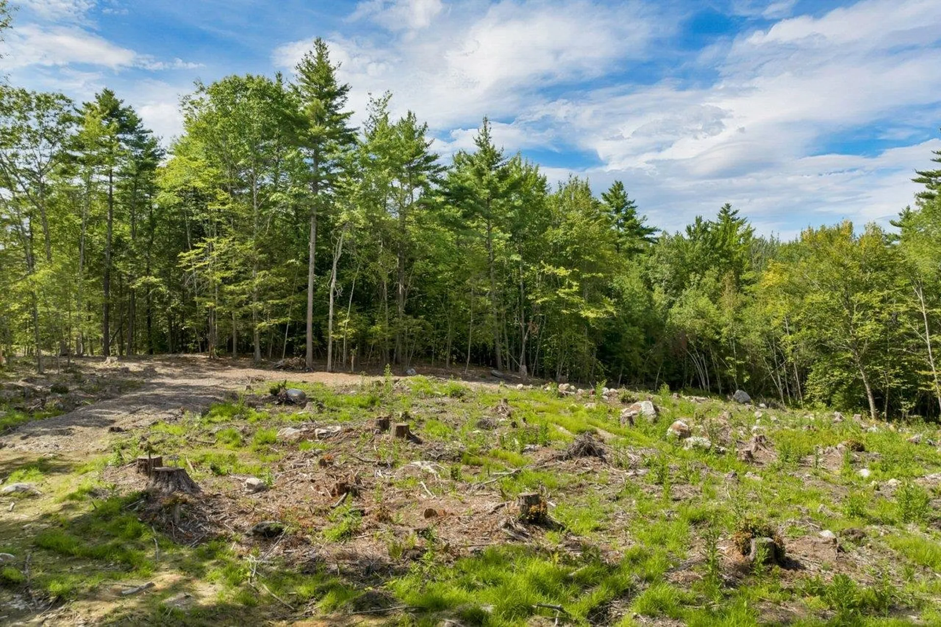 267-23 Winnipesaukee Drive Wolfeboro NH 03894