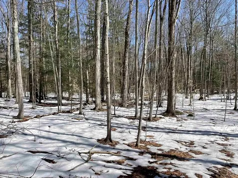 123 Us Route 5 Westminster VT 05158