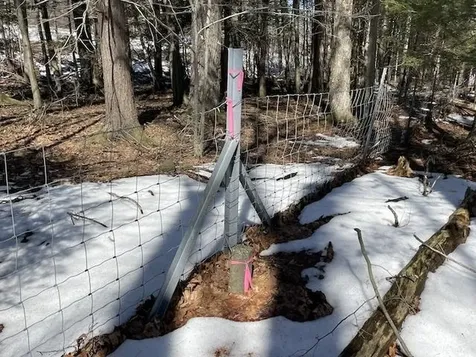 123 Us Route 5 Westminster VT 05158