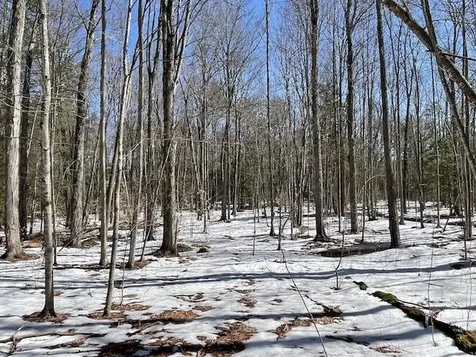 123 Us Route 5 Westminster VT 05158