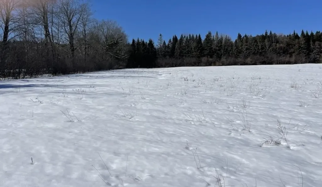 123 Us Route 5 Westminster VT 05158