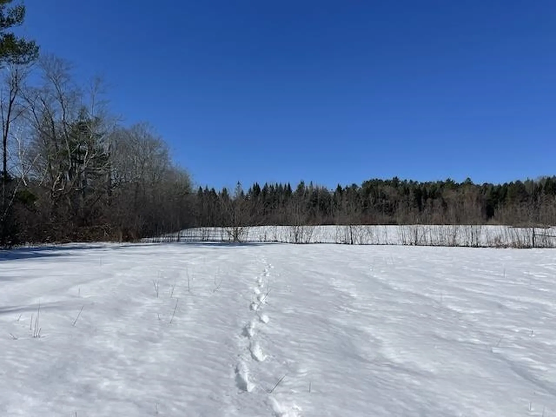 123 Us Route 5 Westminster VT 05158