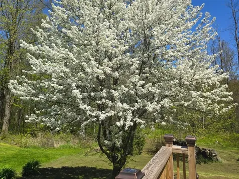 236 Baker Street Alburgh VT 05440