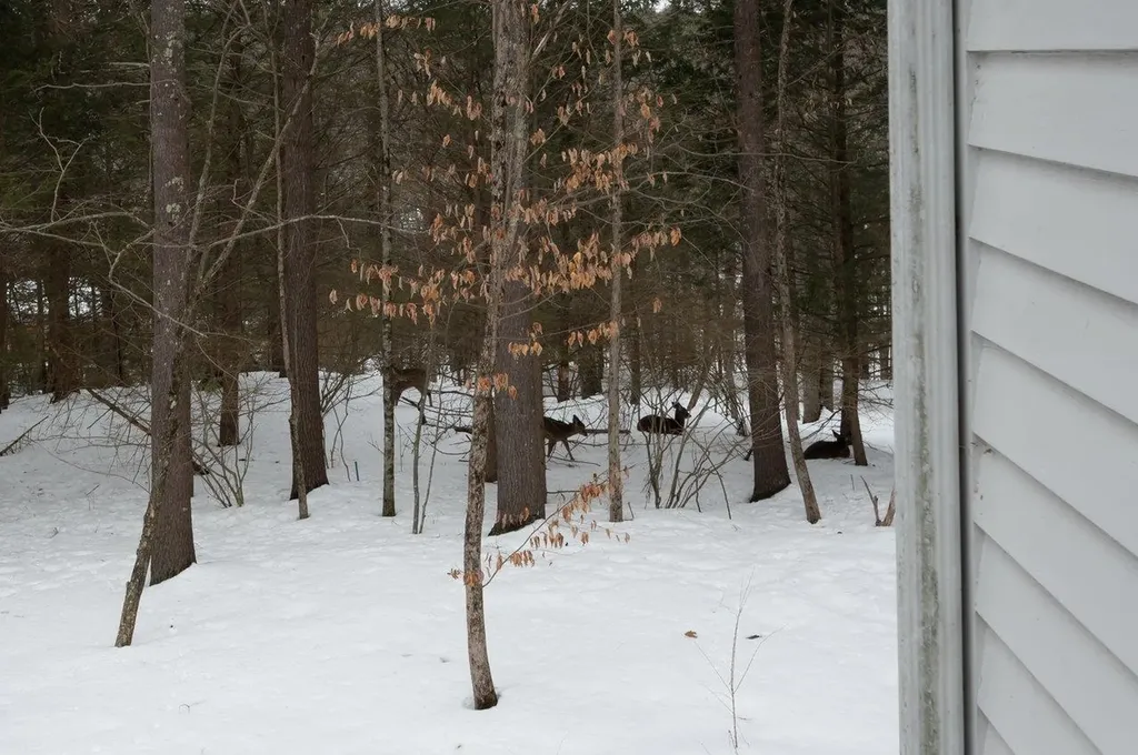 4 Ffrost Drive Durham NH 03824