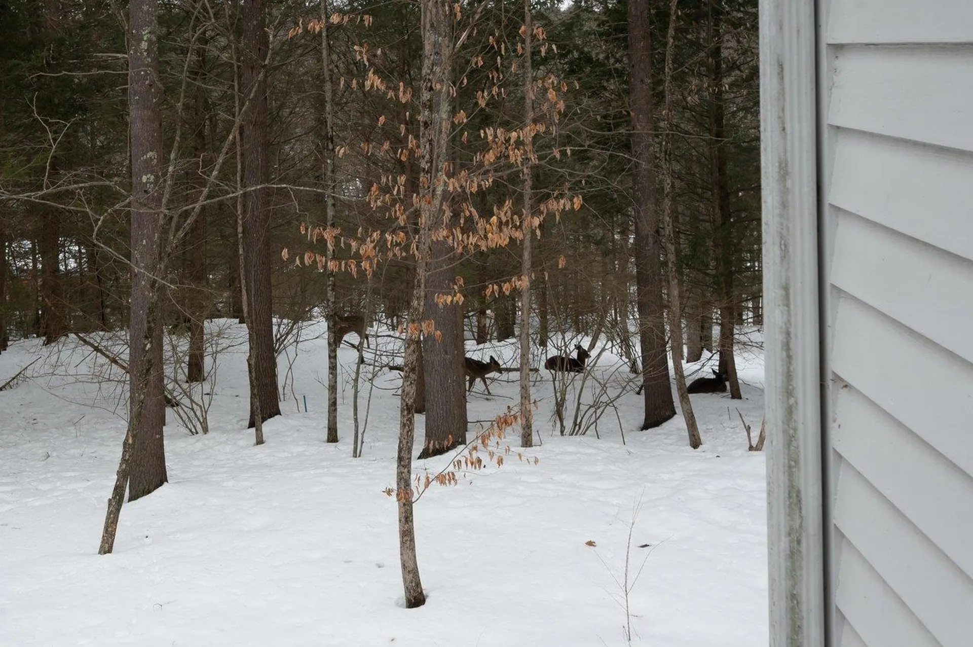4 Ffrost Drive Durham NH 03824