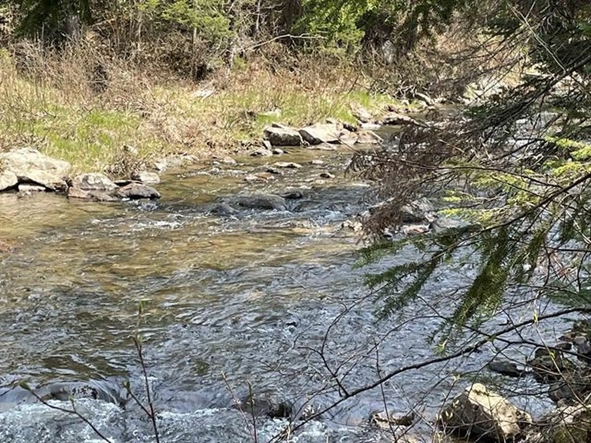 Simms Stream Road Columbia NH 03576