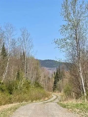 Simms Stream Road Columbia NH 03576