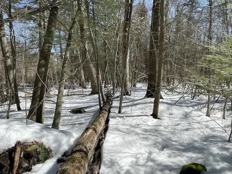 123 Us Route 5 Westminster VT 05158