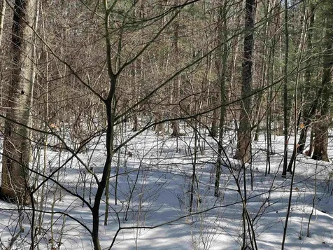 123 Us Route 5 Westminster VT 05158