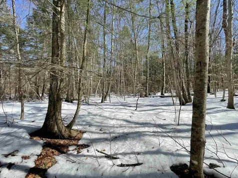 123 Us Route 5 Westminster VT 05158