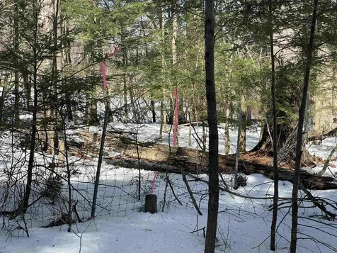 123 Us Route 5 Westminster VT 05158