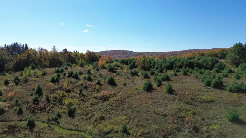 673 Reed Road Vershire VT 05079