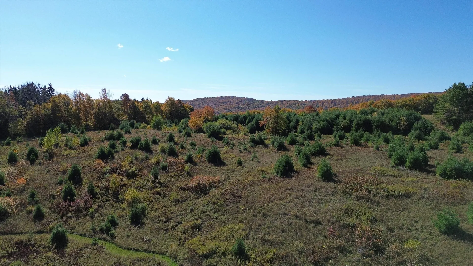 673 Reed Road Vershire VT 05079