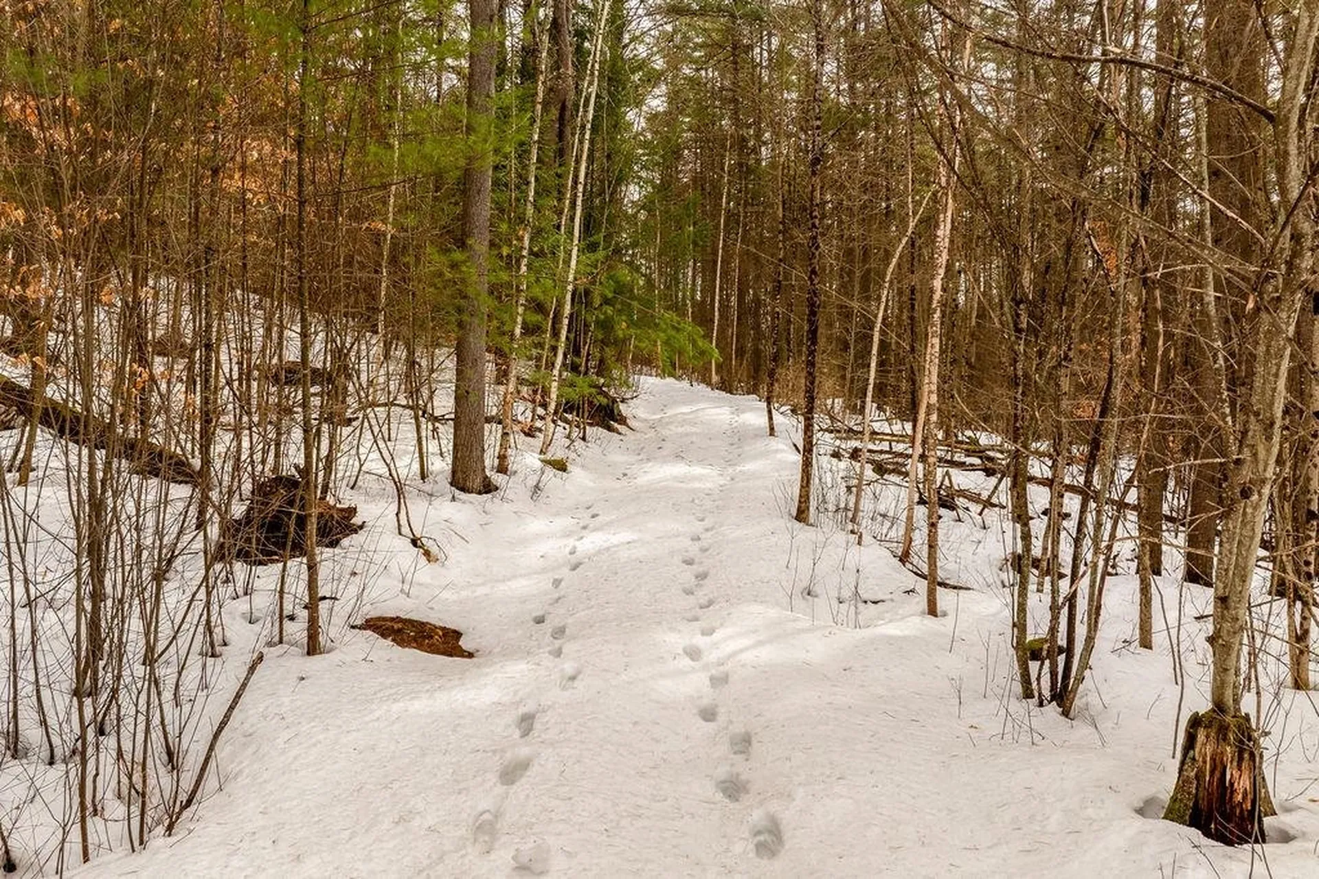 00 Route 12a Plainfield NH 03781