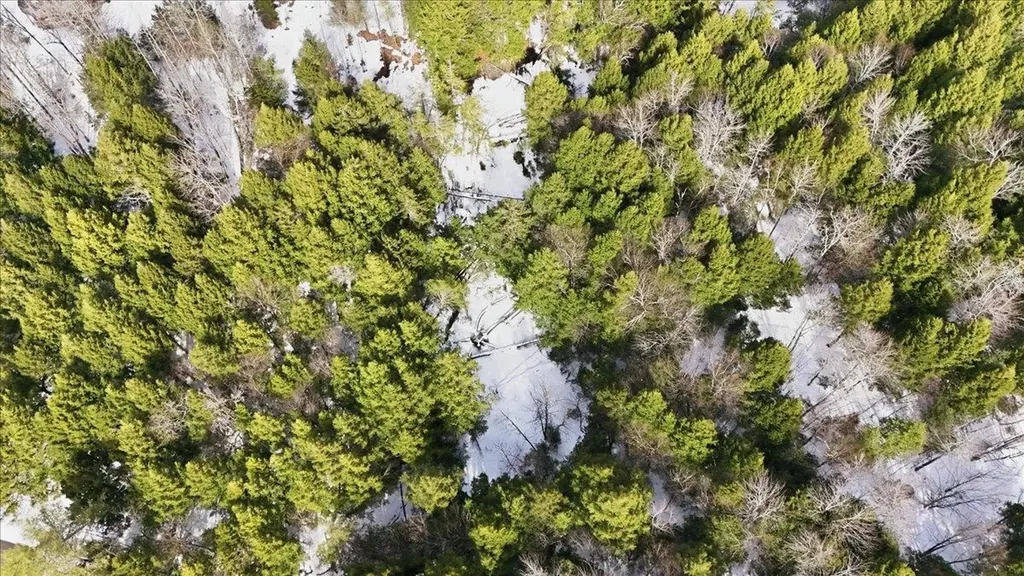 3 Hummingbird Lane Waitsfield VT 05673