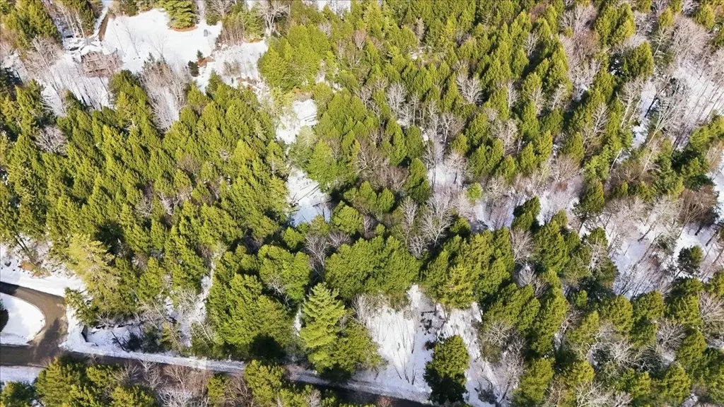 3 Hummingbird Lane Waitsfield VT 05673