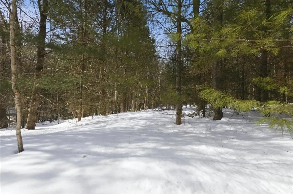 3 Hummingbird Lane Waitsfield VT 05673