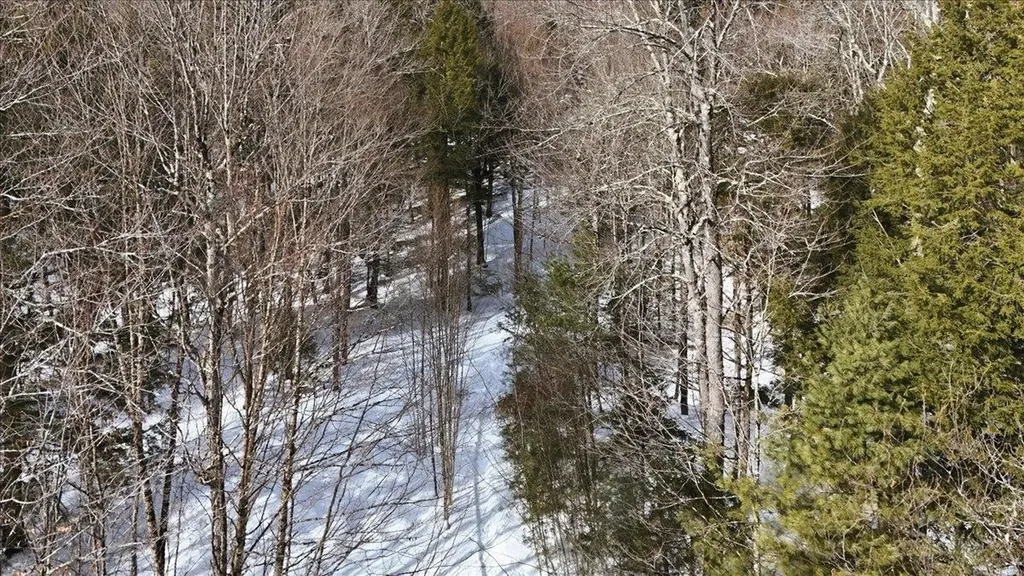 3 Hummingbird Lane Waitsfield VT 05673