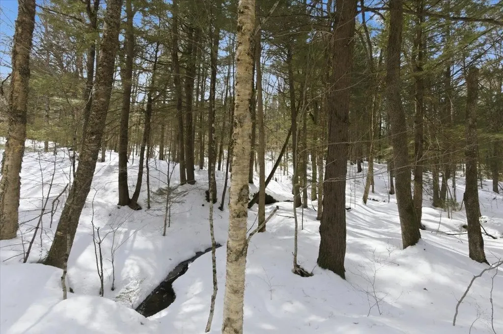 3 Hummingbird Lane Waitsfield VT 05673