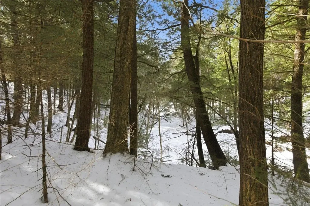 3 Hummingbird Lane Waitsfield VT 05673