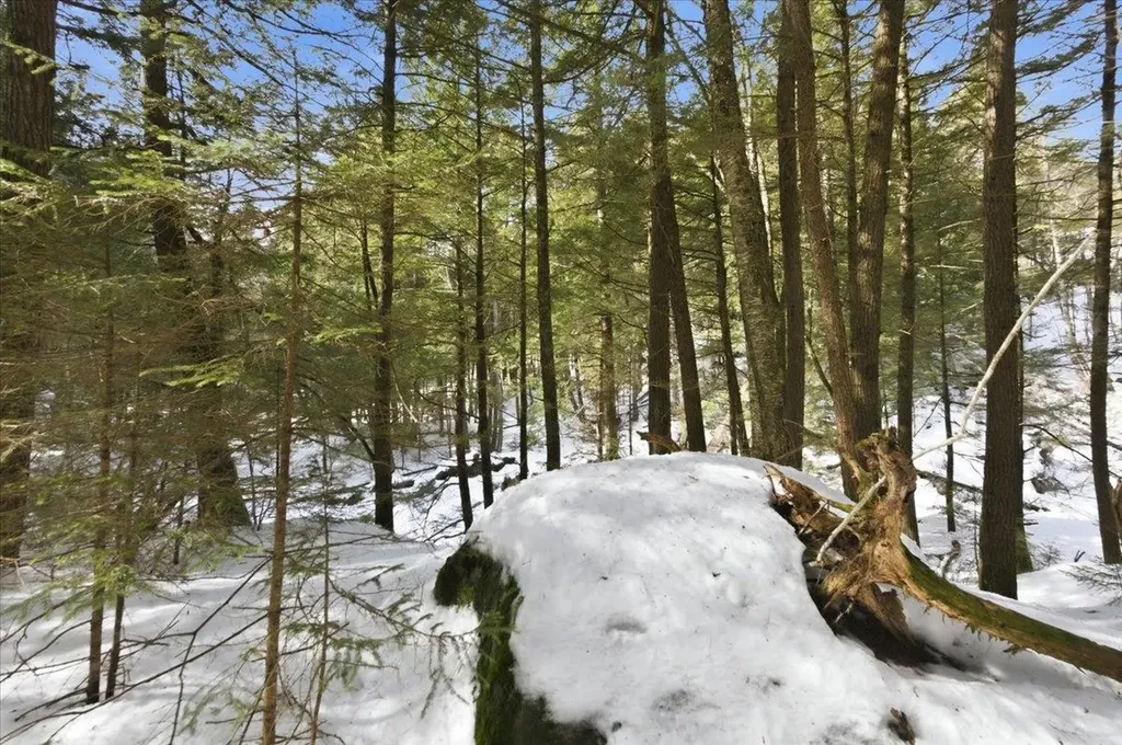 3 Hummingbird Lane Waitsfield VT 05673