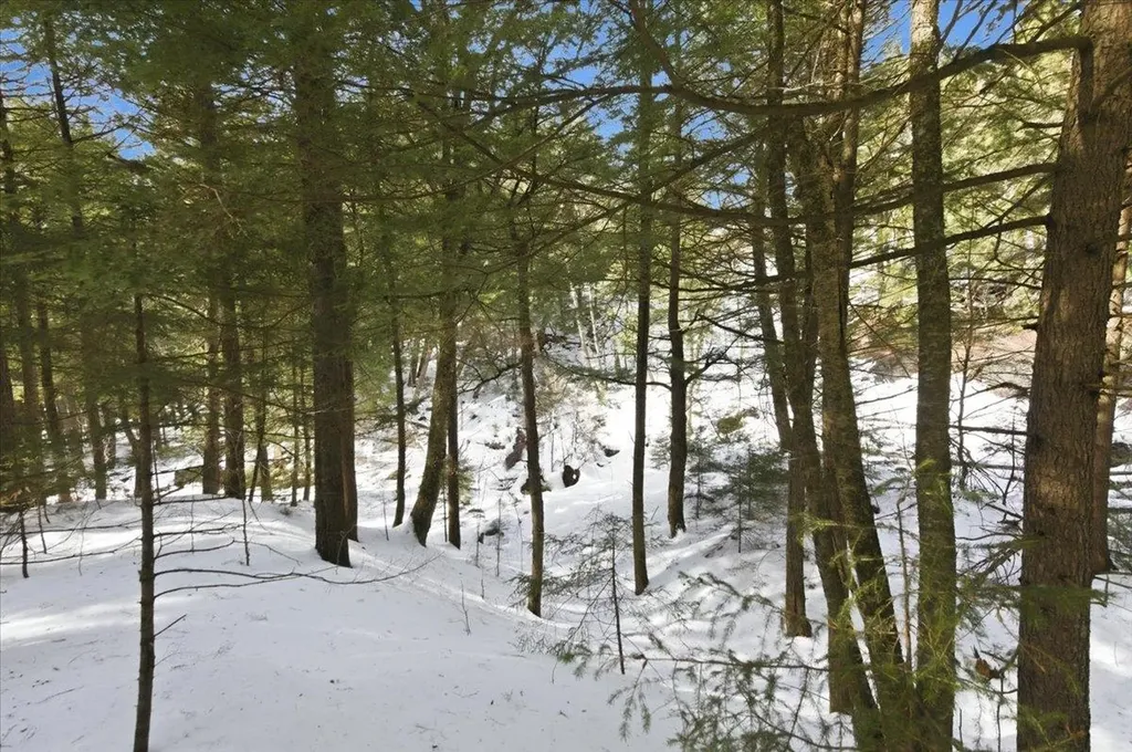 3 Hummingbird Lane Waitsfield VT 05673