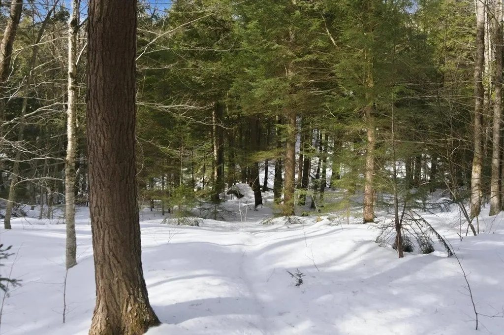 3 Hummingbird Lane Waitsfield VT 05673