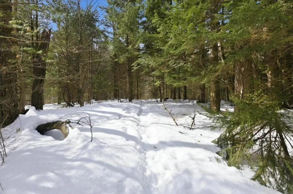 3 Hummingbird Lane Waitsfield VT 05673